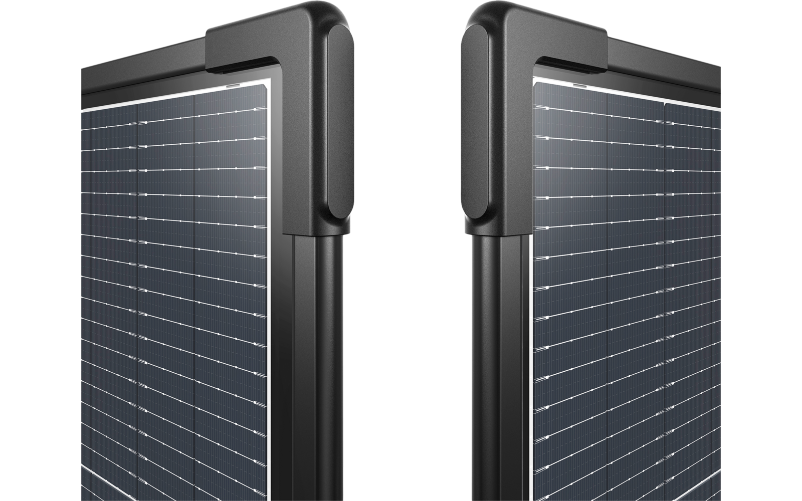 Zwei nebeneinander stehende Solarmodule mit schwarzem Rahmen auf weißem Hintergrund
