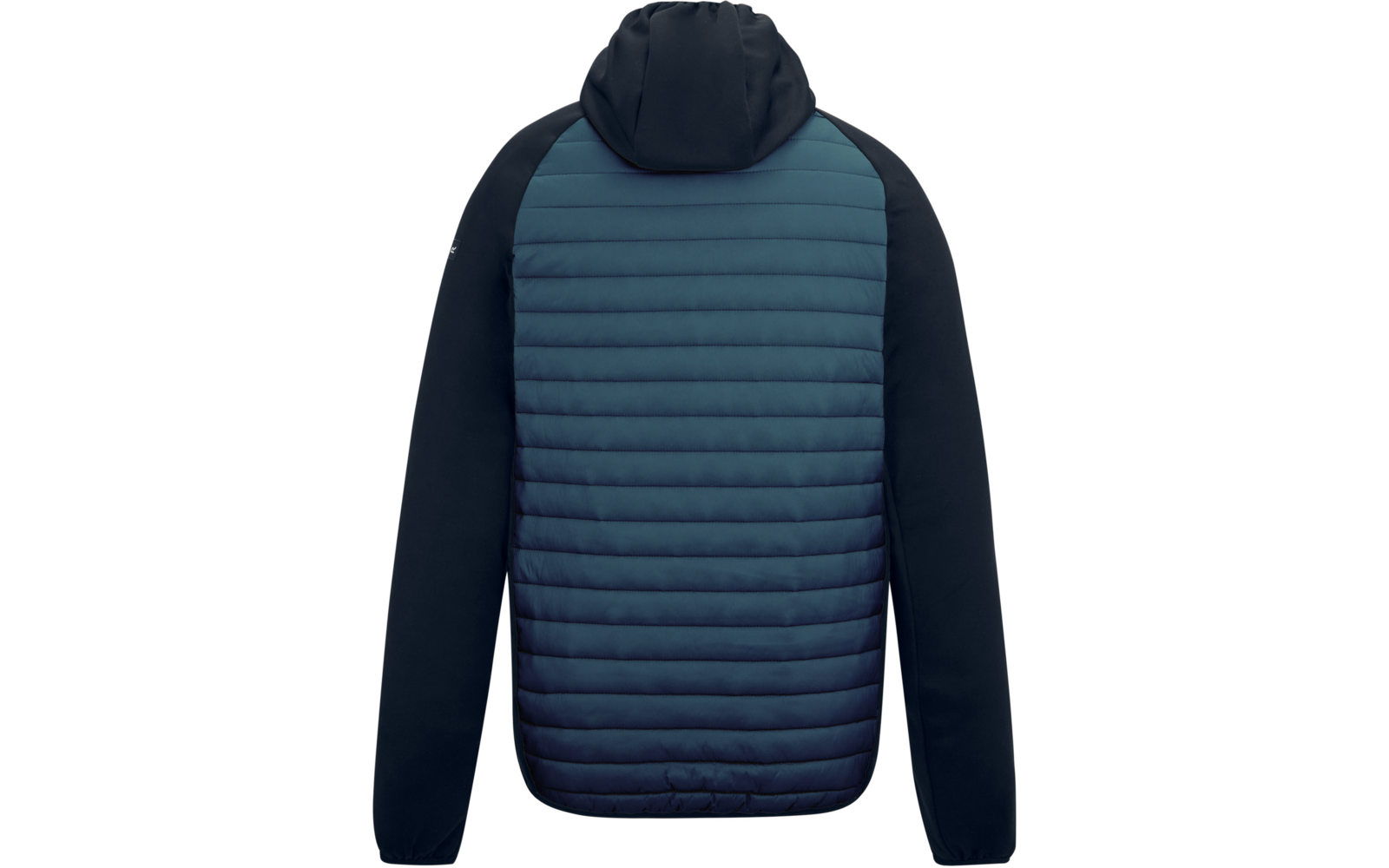 Rückenansicht einer Kapuzenjacke mit gesteppter blau-grüner Rückseite und dunklen Ärmeln sowie Kapuze