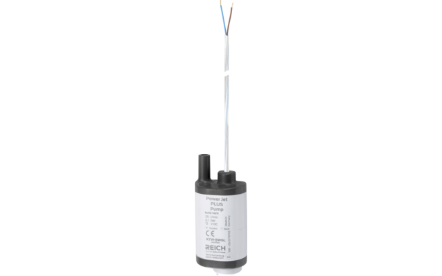 Produktbild Reich Tauchpumpe-Power Jet Plus mit R&uuml;ckschlagventil 12V 2,1 bar 25 l/min 1