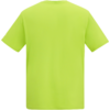 Achteraanzicht van een effen felgeelgroen T-shirt met korte mouwen en ronde hals op een witte achtergrond
