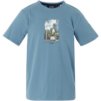 Regatta Cline IX Heren-T-shirt