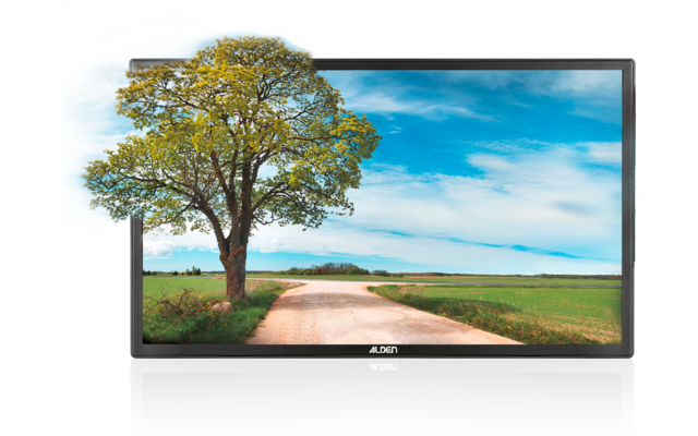 Großer Baum neben einem Weg vor einem blauen Himmel mit Wolken