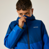 Junge in blauer Kapuzenjacke zieht Reißverschluss bis zur Nase, Blick nach rechts, heller Hintergrund