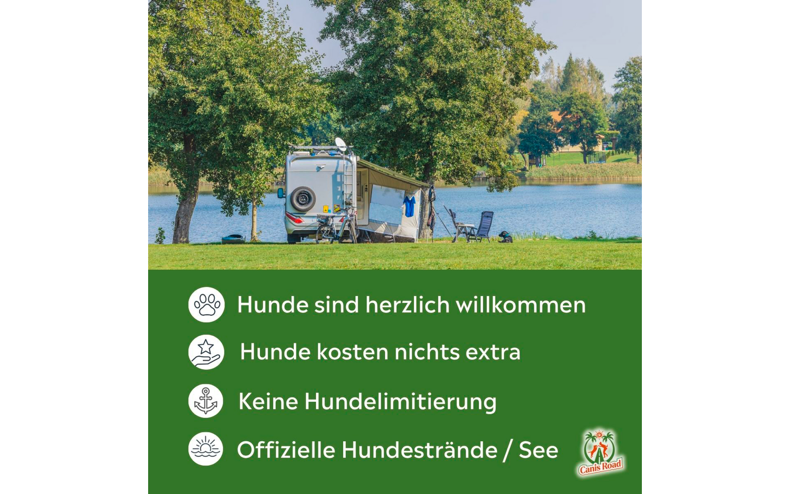 Product image Canis Road Online motorhome travel guide for dog owners 1