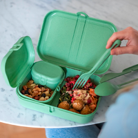 Koziol Pascal Ready Lunchbox Set mit Besteck 4 teilig nature leaf green 
