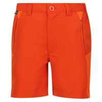 Regatta Sorcer Mountain III Kindershorts