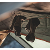 Zwei hängende, gebrauchte Socken unter einem Zelt