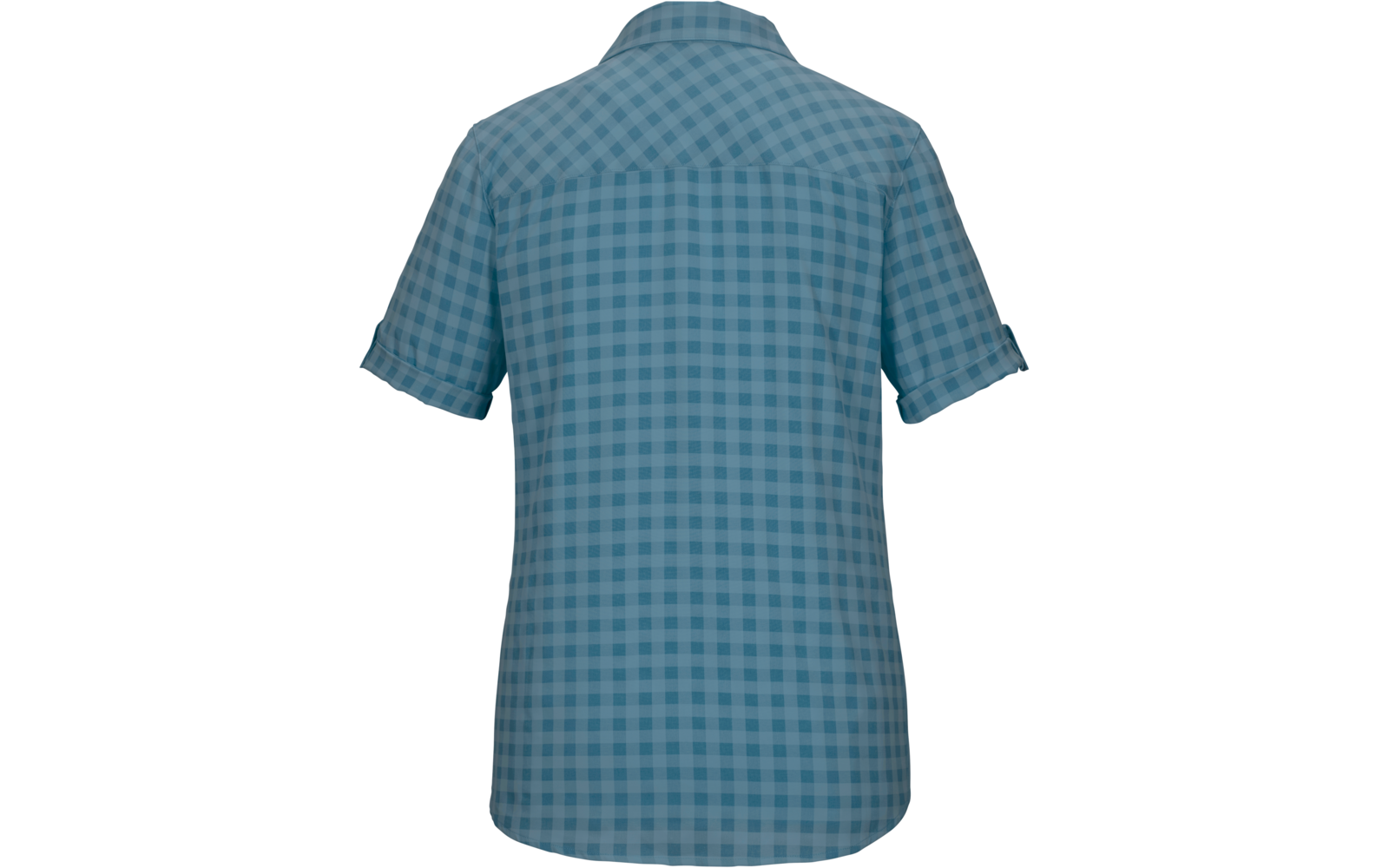 Rückansicht eines blau karierten Hemds mit Kragen und kurz aufgerollten Ärmeln
