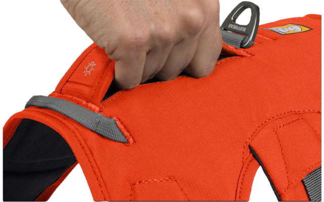 Ruffwear Web Master Pettorina per cani con cinturino da polso Blaze Orange S