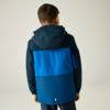 Vue de dos d'un enfant aux cheveux bruns courts portant une veste à capuche bleu bicolore et un pantalon foncé sur un fond clair