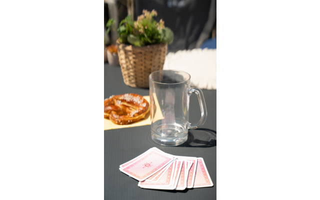 Glas Wasser, Spielkarten, Teller mit Essen und ein Topf mit grüner Pflanze auf einem Tisch