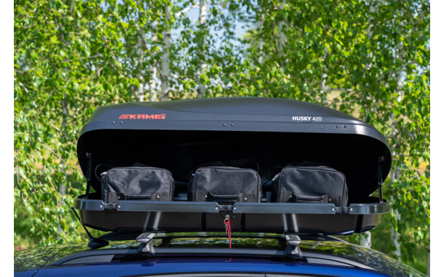 Box da tetto nero aperto sul tetto dell'auto con tre borse nere, portapacchi visibile, alberi sullo sfondo