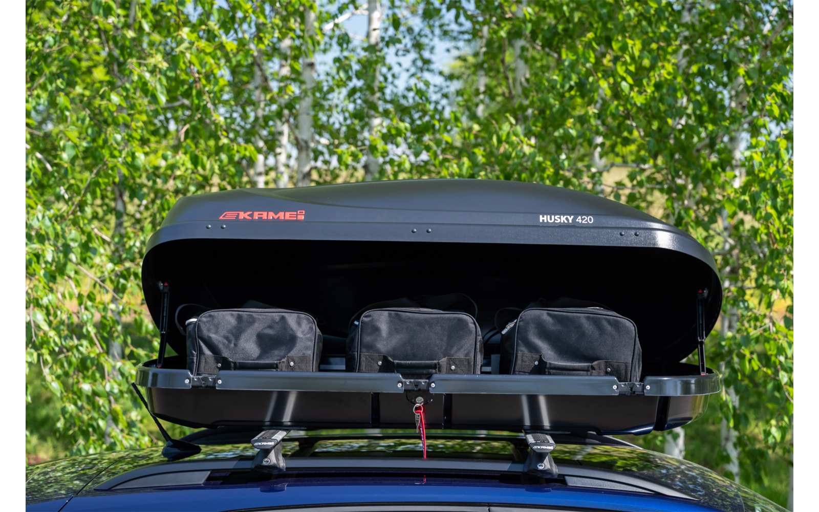 Box da tetto nero aperto sul tetto dell'auto con tre borse nere, portapacchi visibile, alberi sullo sfondo