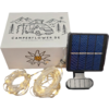 Zwei Solarlampen mit Erdspieß, eine Verpackungskarton und ein separates Solarpanel mit Kabel