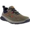 Ecco Ult Trn men's hiking shoe