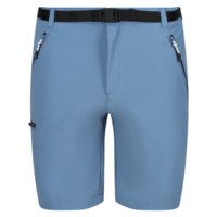 Regatta Xert III Stretch Herren Stretchshorts