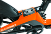 Blaupunkt Fiene faltbares E-Bike 20 Zoll orange 250W