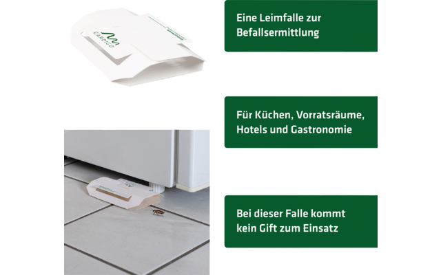 Zwei grüne Informationskarten mit weißem Hintergrund, eine zeigt einen weißen Briefumschlag, die andere einen Briefkastenschlitz