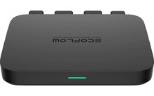 EcoFlow Alternator Charger Batterieladegerät für unterwegs