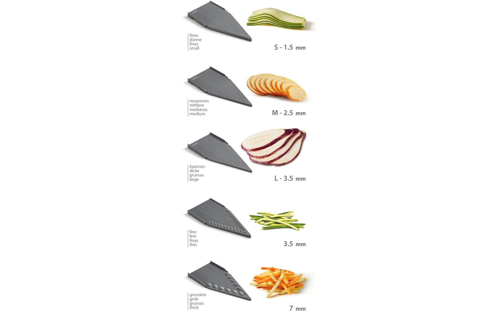Sechs verschiedene Meeresfrüchte und deren Größenvergleich mit einem Lineal in Zentimetern