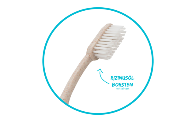 Cepillo de dientes de chinchilla biodegradable 1 pieza