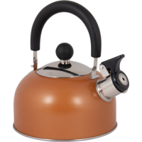 Bo-Camp Rhoda Bouilloire &agrave; fl&ucirc;te en acier inoxydable 1,2 litre induction