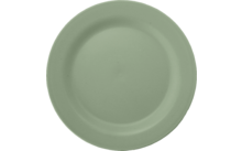 Ein leerer grüner Teller von oben