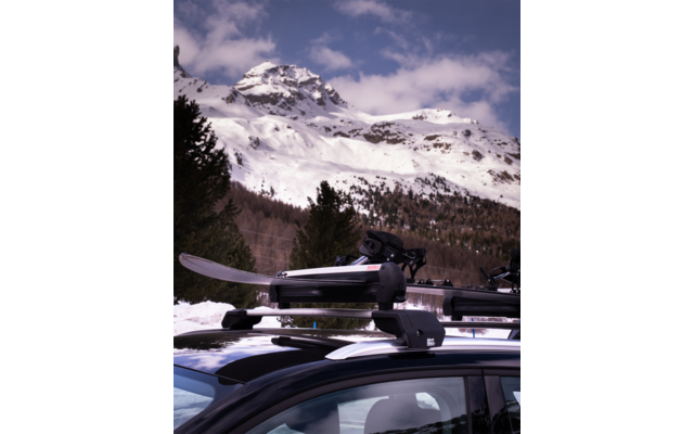 Autodach mit montiertem Skiträger und Skiern, im Hintergrund schneebedeckte Berge, Nadelbäume und Himmel mit Wolken