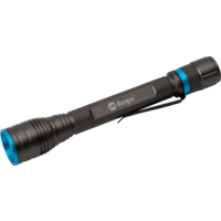 Berger BT 250 LED Taschenlampe