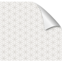 mySpotti Fresh Duschr&uuml;ckwandfolie 90 x 210 cm Motiv Kini