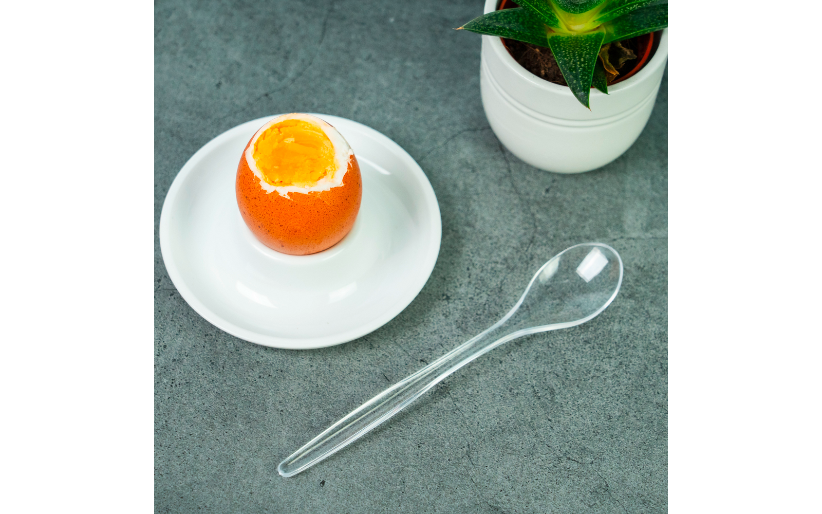 Opened egg in eggshell with visible runny yolk on a white saucer, transparent plastic spoon beside it, green succulent plant in a white pot on a gray surface