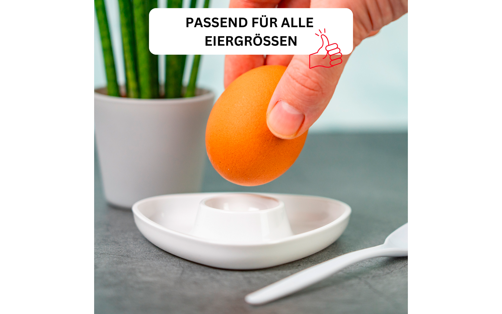 Hand holding brown egg above a white egg cup on a gray surface; white spoon to the right, potted plant blurred in the background left; white rectangle with the text 'PASSEND FÜR ALLE EIERGRÖSSEN' and a thumbs-up icon at the top