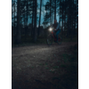 Person fährt mit Fahrrad im Wald bei Dämmerung, Lampe leuchtet