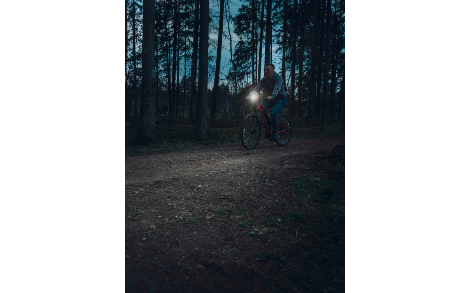 Person fährt mit Fahrrad im Wald bei Dämmerung, Lampe leuchtet