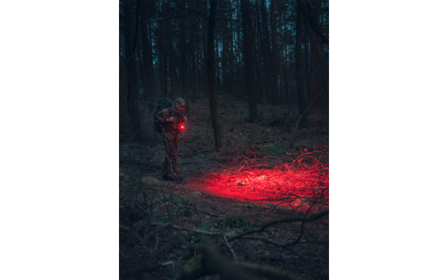 Person mit Taschenlampe in dunklem Wald, rotes Licht auf dem Waldboden