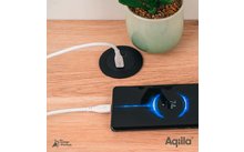Aqiila Cablebird Câble de charge/sync USB C vers USB C avec 60 W