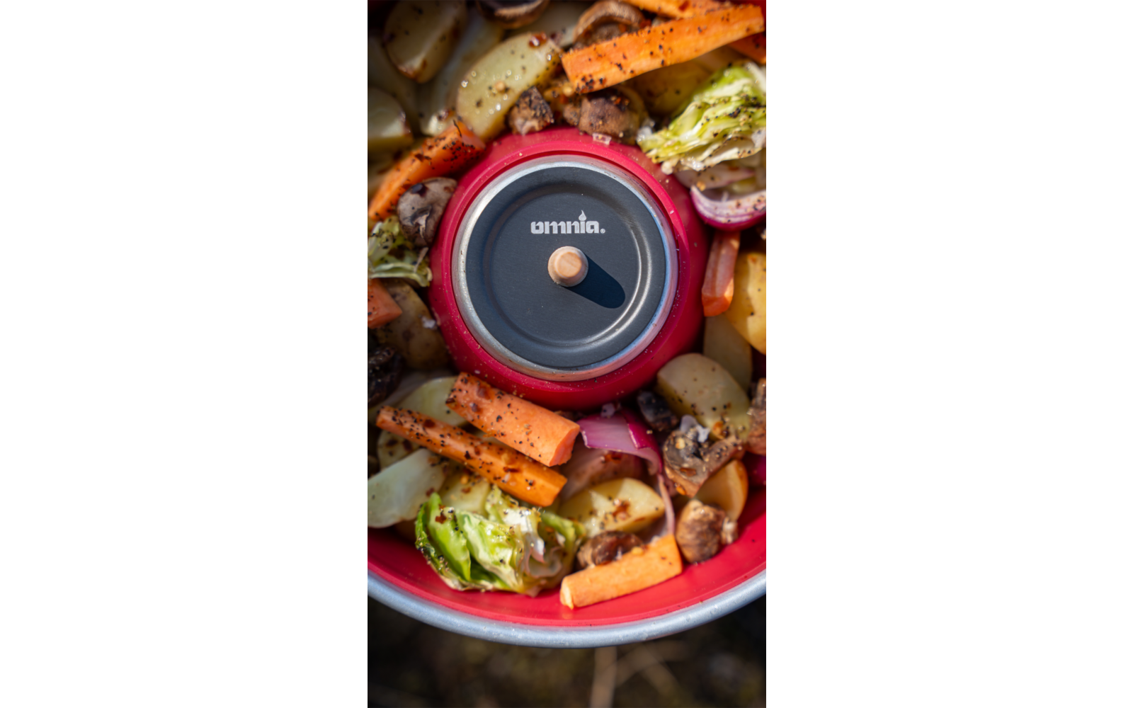 Casserole rouge avec couvercle gris et bouton en bois au centre, entourée de carottes, pommes de terre, champignons, oignons et morceaux de chou coupés avec des herbes