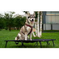 Berger SnoozeNest faltbares Hundebett klein bis 40 kg (L)