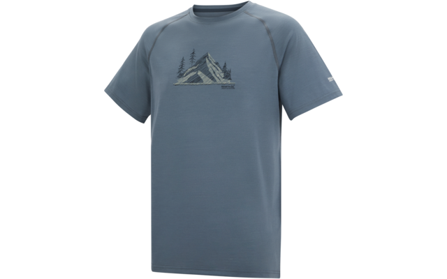 Blaugraues T-Shirt mit kurzen Ärmeln und rundem Ausschnitt, Raglannähte, Brustmotiv mit Bergen und Nadelbäumen, kleines Logo am linken Ärmel