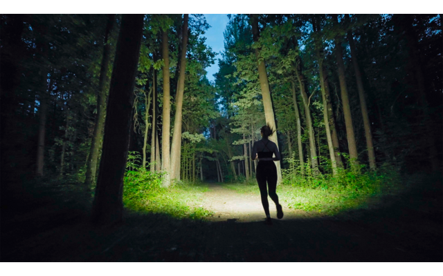 Person steht auf einem dunklen Waldweg, umgeben von hohen Bäumen und Lichtstrahlen im Hintergrund