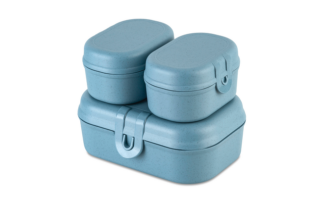 Koziol Pascal Ready Mini Lunchbox-Set 3-teilig nature flower blue