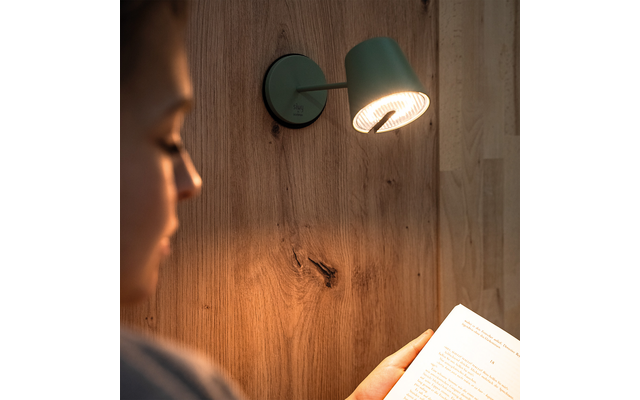 Linkes Profil einer Person, Hand hält ein aufgeschlagenes Buch; an Holzwand montierte Lampe leuchtet