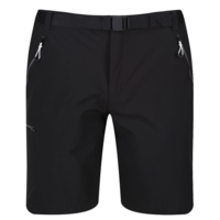 Regatta Xert III Stretch Herren Stretchshorts