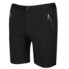 Kleines Produktbild Regatta Xert III Stretch Herren Stretchshorts 1