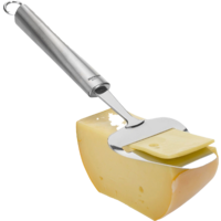Westmark Glory K&auml;sehobel aus Edelstahl