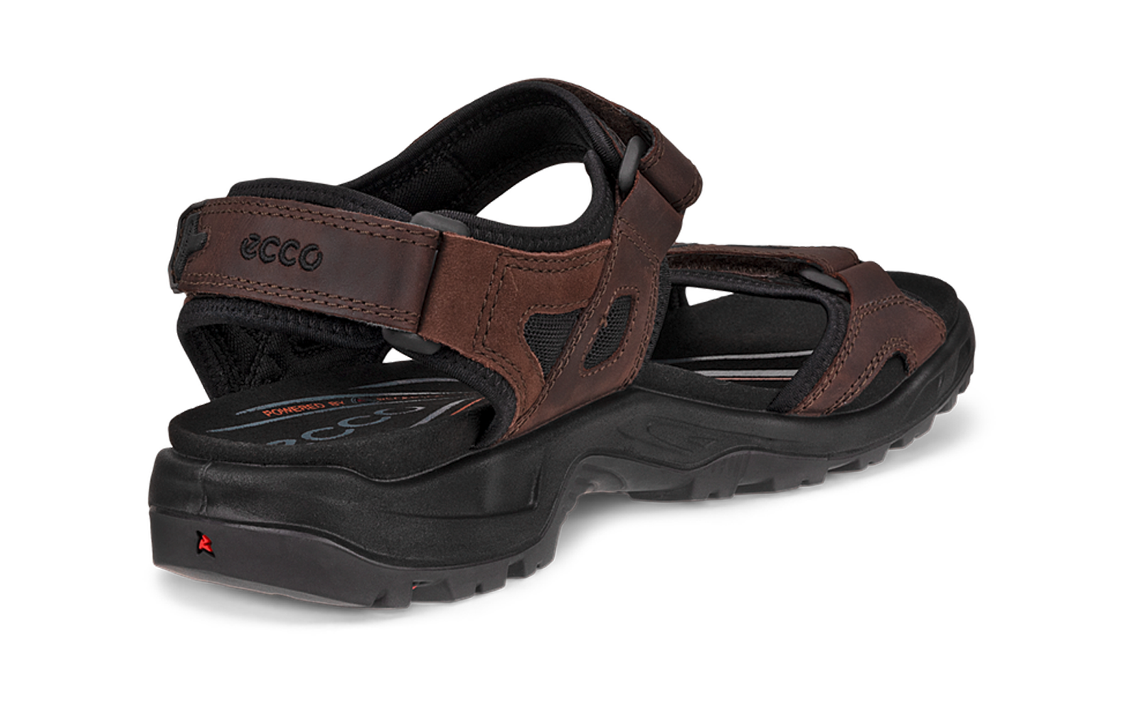 Sandale brune à deux brides, semelle noire crantée et logo 'ecco' visible, vue latérale/arrière