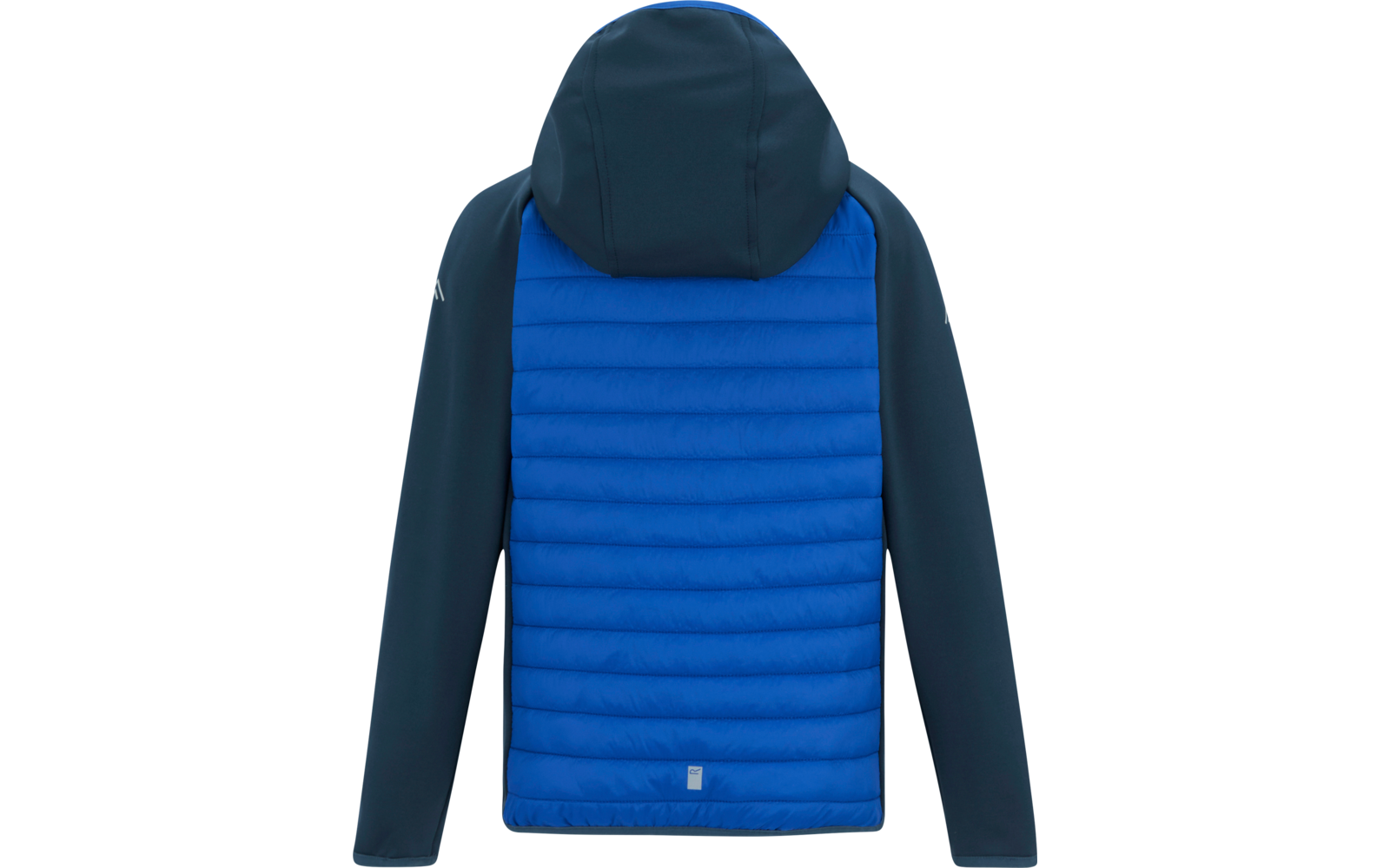 Rückenansicht einer Kapuzenjacke mit hellblau gepolstertem Rücken und dunkelblauen Ärmeln und Kapuze