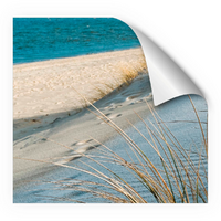 mySpotti Fresh Duschr&uuml;ckwandfolie 90 x 210 cm Motiv Sea Cost