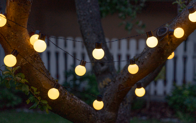 Lichterkette mit runden, gelb leuchtenden Lampen an einem Baum im Garten bei Nacht