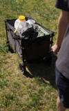 Berger Torrent Bollerwagen grau